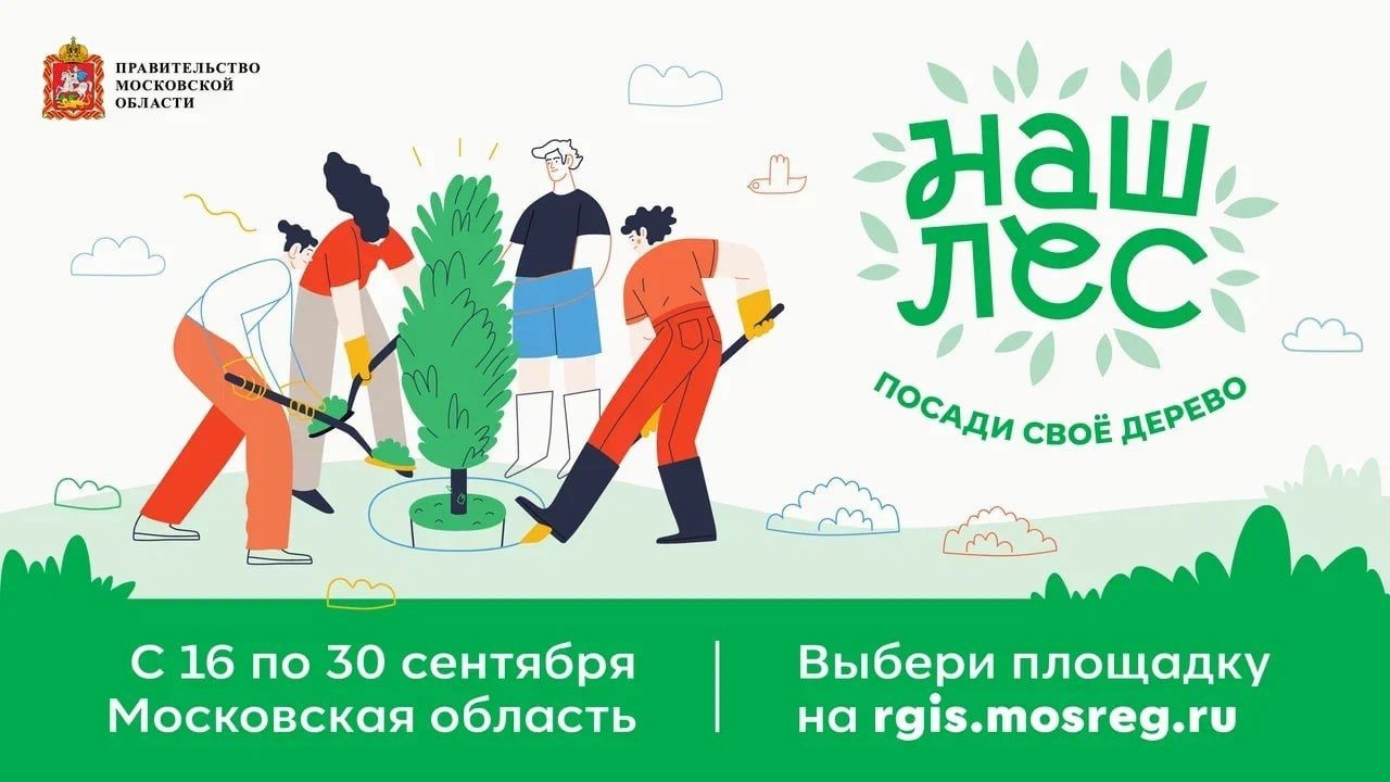 С 16 по 30 сентября по всему Подмосковью пройдет традиционная  акция «Наш лес. Посади свое дерево»