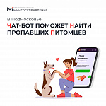 Сервис для поиска домашних животных работает в Подмосковье
