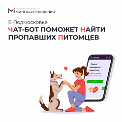 Сервис для поиска домашних животных работает в Подмосковье