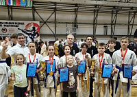 Шесть наград Кубка Московской области по кекусинкай завоевали подольчане