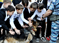 Школьники познакомились со служебными собаками