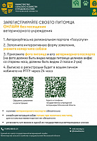 Собаку с чипом теперь можно зарегистрировать онлайн