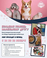 Сбор помощи приюту для животных 