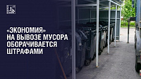 Дешевый вывоз мусора оборачивается штрафом Дешевый вывоз мусора оборачивается штрафом