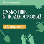 Более 600 мест проведения общеобластных субботников определили в Подмосковье