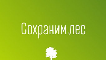 Акцию по высадке саженцев проведут в сквере 200-летия города Подольска