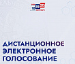 Дистанционное электронное голосование: как подать заявление 