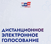 Дистанционное электронное голосование: как подать заявление 