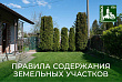Что грозит собственнику за нарушения на земельных участках: основные запреты