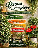 В Подольском выставочном зале представят экспозицию «Флора в интерьере» В Подольском выставочном зале представят экспозицию «Флора в интерьере»