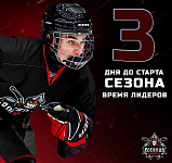 Подольский хоккейный клуб готов к новому сезону