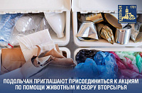 В Кузнечиках пройдет акция по раздельному сбору отходов В Кузнечиках пройдет акция по раздельному сбору отходов