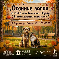 В парке Талахина пройдет выставка-пристройство животных из приюта «Осенние лапки» В парке Талахина пройдет выставка-пристройство животных из приюта «Осенние лапки»
