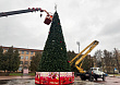 Новогодние ели постепенно устанавливают в Подольске