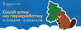 Акция «Сдай елку на переработку» пройдет в регионе с 12 января