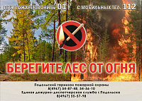 Пожароопасный период начался в Подмосковье