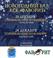 Новогодние конные соревнования пройдут в Подольске Новогодние конные соревнования пройдут в Подольске