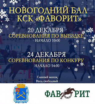 Новогодние конные соревнования пройдут в Подольске