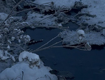 Инспекторы эконадзора минэкологии провели контрольное мероприятие в Подольске