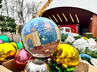 В парке Талалихина воздвигают 16-метровую новогоднюю ель