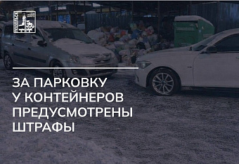 Парковка у контейнерных площадок приводит к свалкам