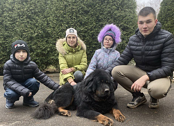 В Подольске 22 многодетные семьи получили земельные участки за первые два месяца 2026 года