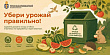 Излишки урожая - на переработку, а не в помойку