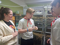 В Подольске прошел финал Кубка Эрнста В Подольске прошел финал Кубка Эрнста