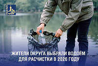 Каскад прудов в поселке МИС очистят в 2026 году