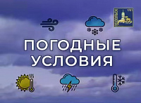 Снегопад с оттепелью надвигаются на Подольск