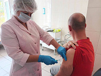 Сезонная вакцинация от гриппа проводится в Подольске Сезонная вакцинация от гриппа проводится в Подольске