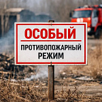 С 20 апреля в Подмосковье введен особый противопожарный режим