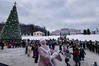 Рождественские гулянья прошли в Дубровицах