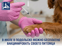 О работе выездных ветеринарных пунктов в Подольске в июле